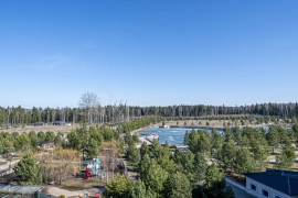 Чистый лист в лесу Азарово