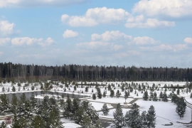 Квартира с видом на лес