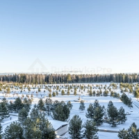 Ваш парк начинается за окном