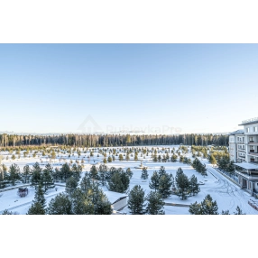 Ваш парк начинается за окном