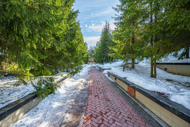 Таунхаус 4 комнаты в тишине леса