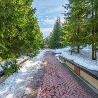 Таунхаус 4 комнаты в тишине леса