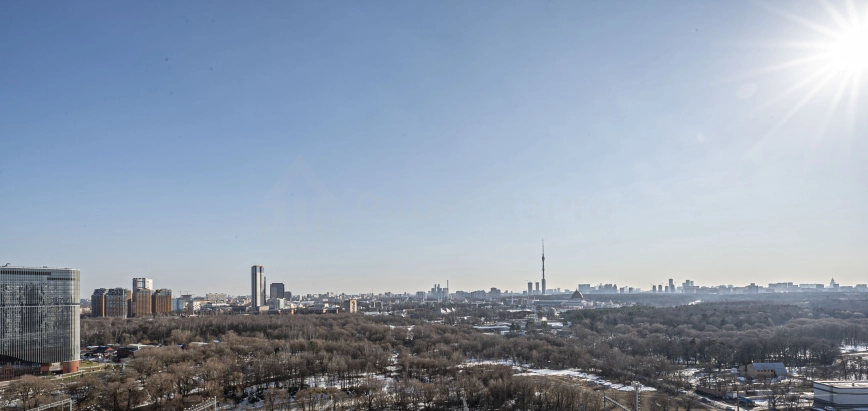 Панорамный вид: жизнь у парков