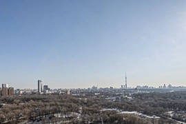 Панорамный вид: жизнь у парков