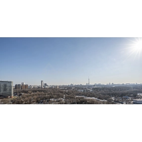 Панорамный вид: жизнь у парков